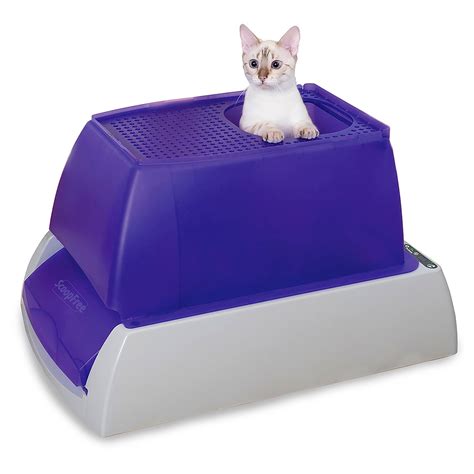 petsafe self scooping litter box